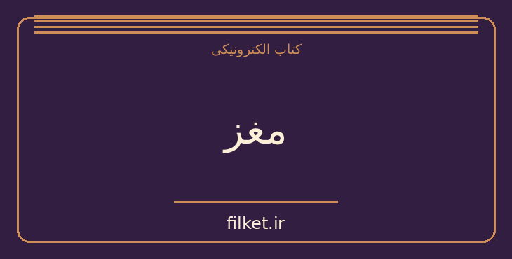 مغز